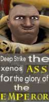 355x738