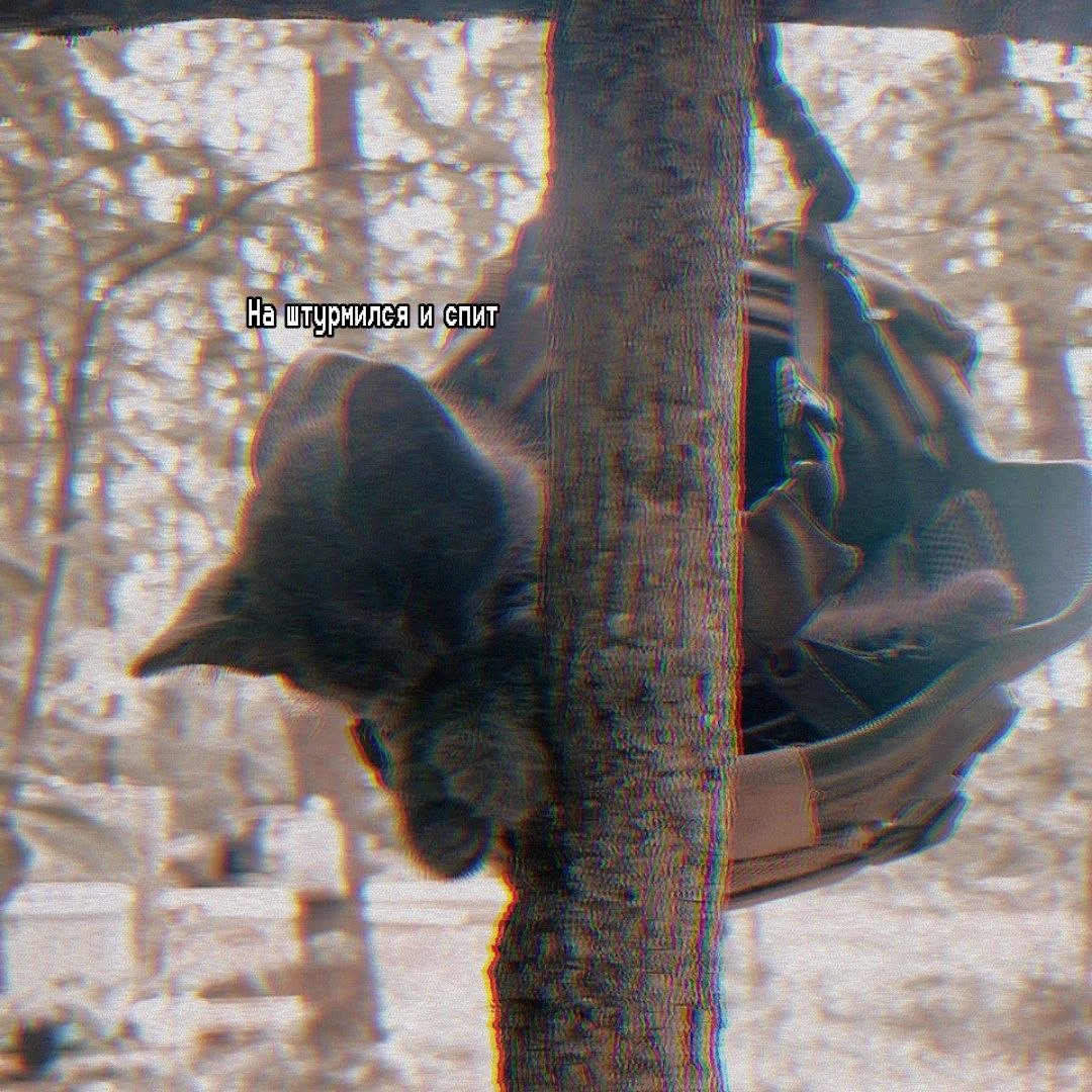 1080x1080