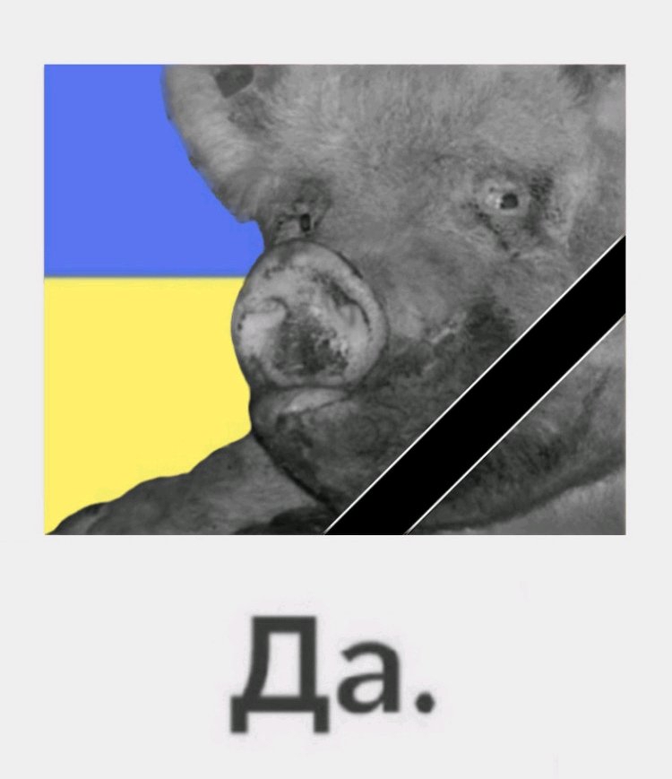 750x869