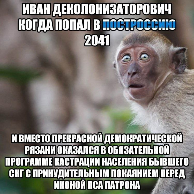 750x750