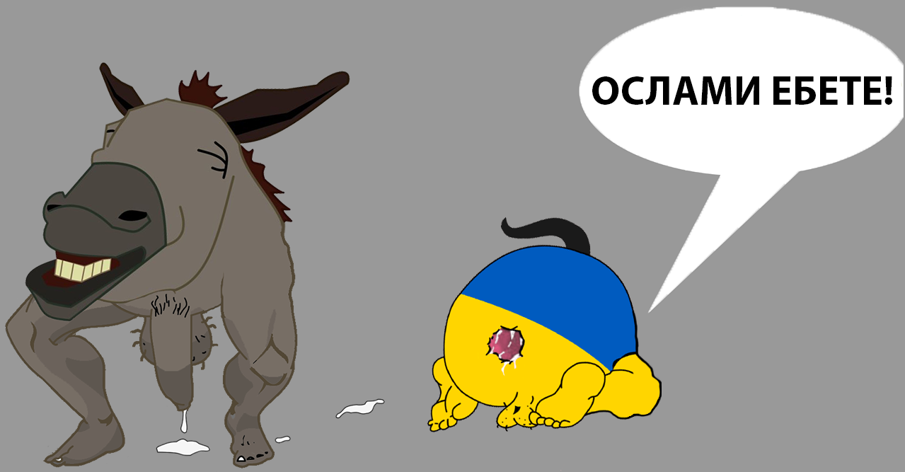 1279x667