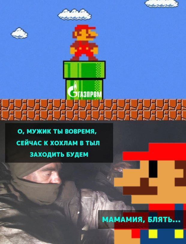 620x813