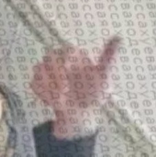 227x229