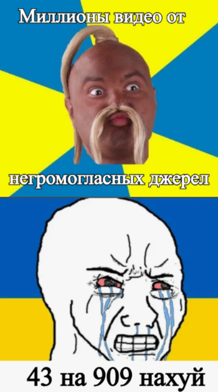 431x773