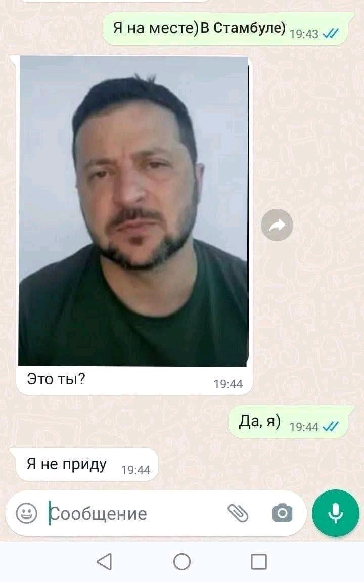 720x1151