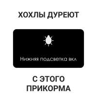 1000x1000