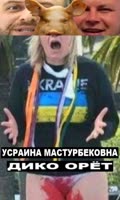 402x668