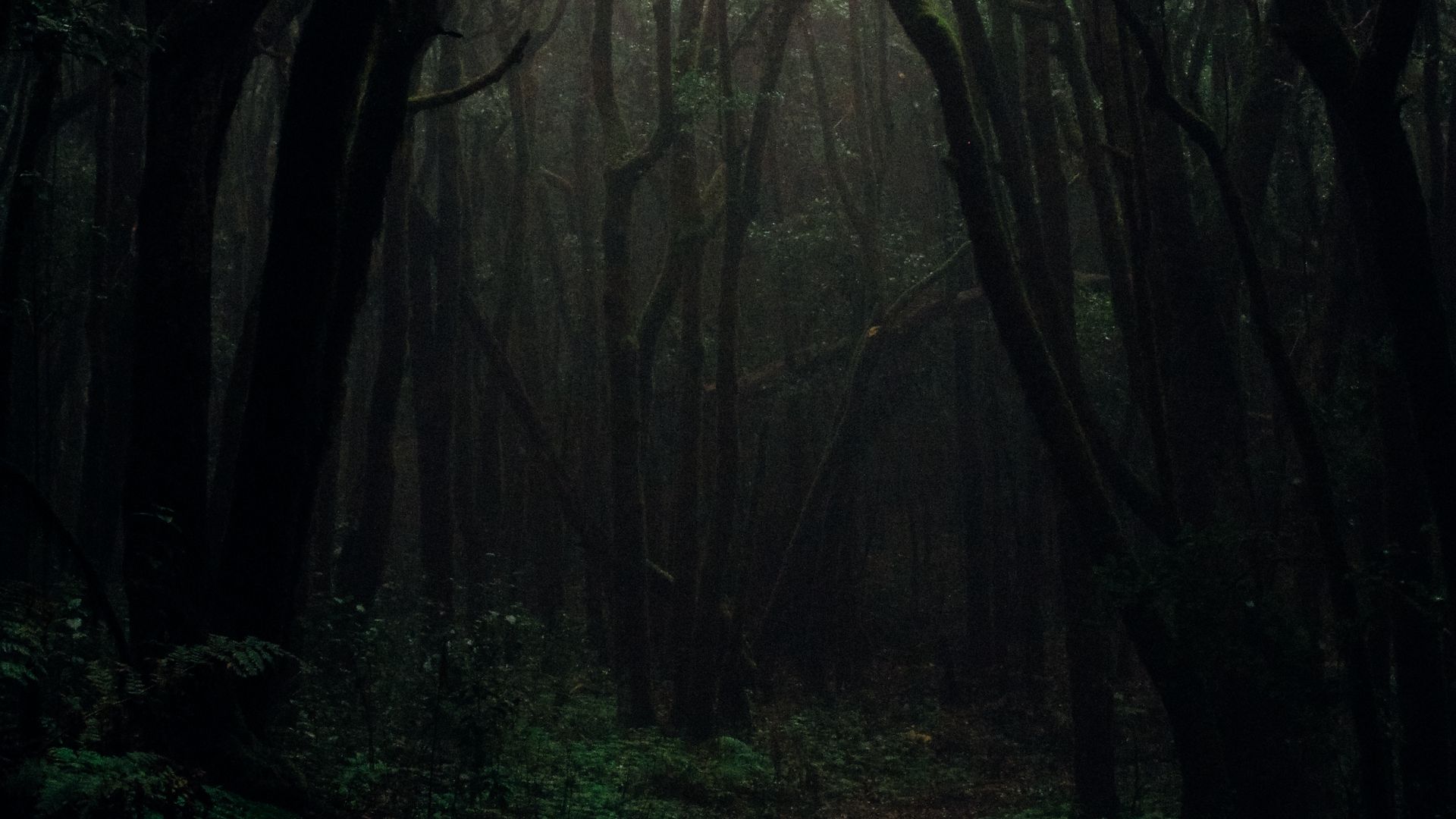 1920x1080