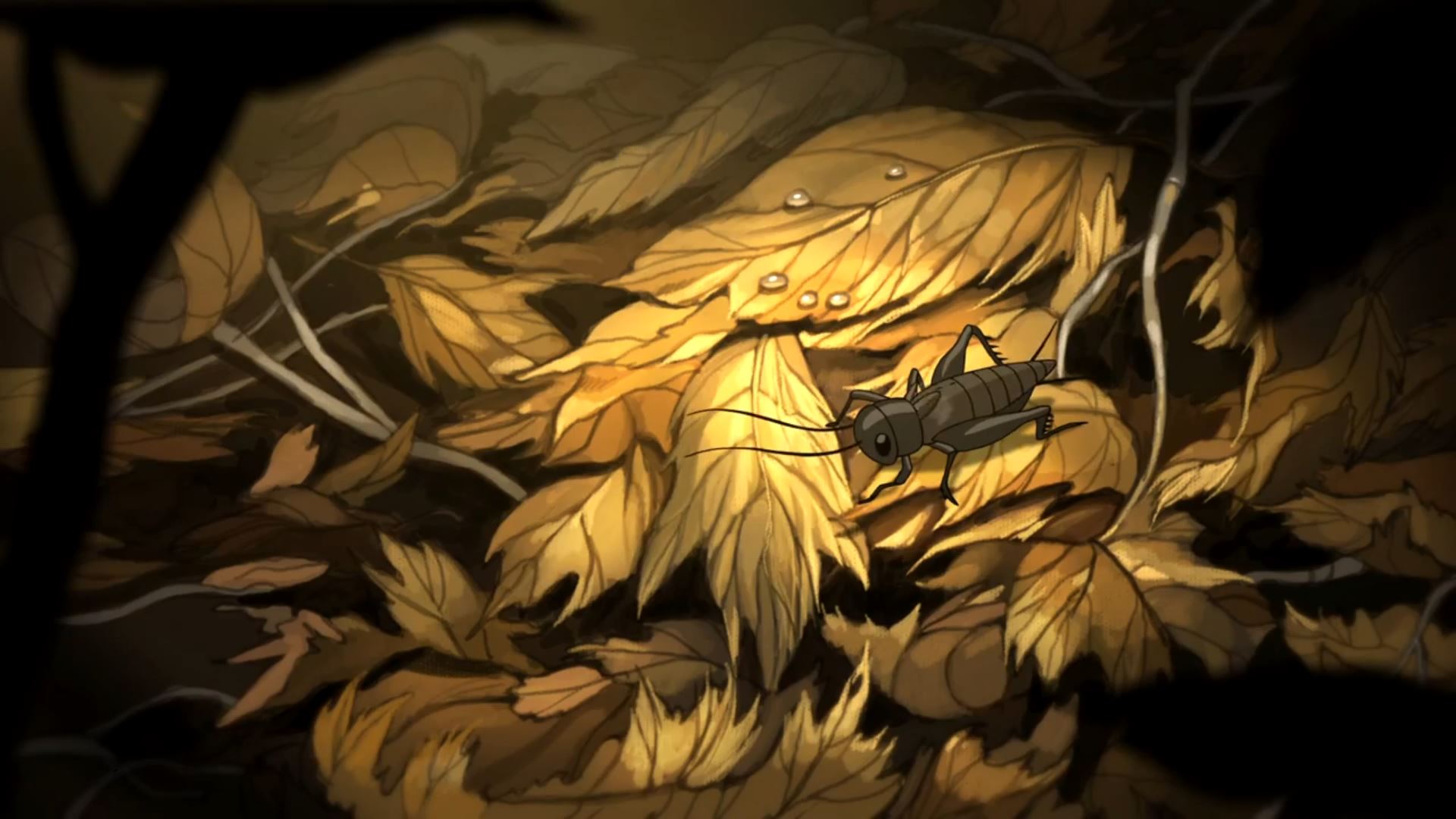 1920x1080