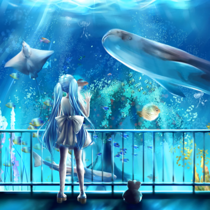 716x716