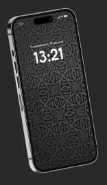 971x1674