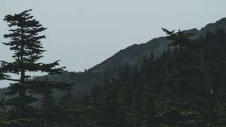 1280x720