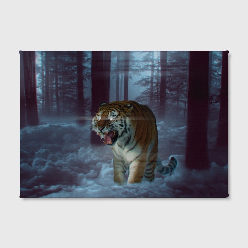 500x500