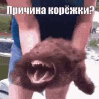 281x281