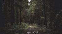 640x360
