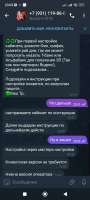 720x1600