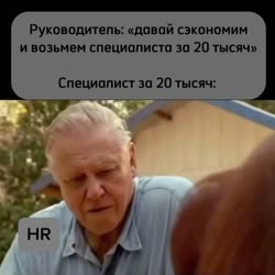 720x720