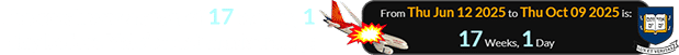 619x51