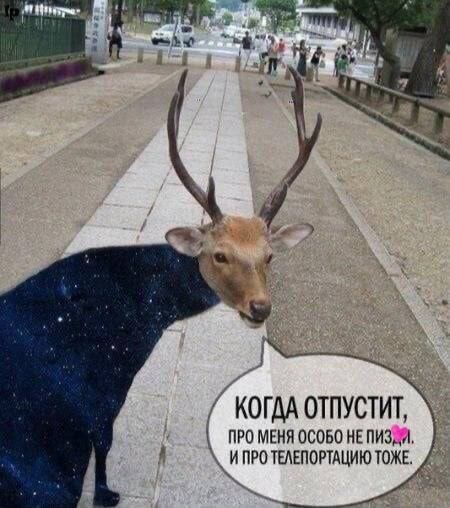 450x508