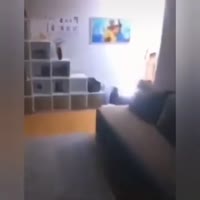 360x360