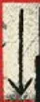 155x392