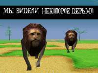 640x480