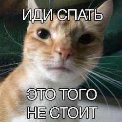 500x498