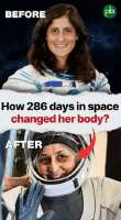 368x665